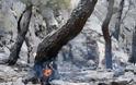 Δύο απόπειρες εμπρησμού τα ξημερώματα στη Χίο