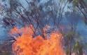 ΣΥΜΒΑΙΝΕΙ ΤΩΡΑ: Φωτιά στο Αλιβέρι Βόλου