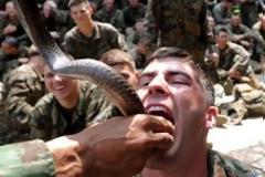 ΔΕΙΤΕ: Πεζοναύτες πίνουν αίμα κόμπρας και τρώνε κατσαρίδες για εκπαίδευση!