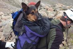 ΣΩΘΗΚΕ ΧΑΡΗ ΣΤΟ FACEBOOK...