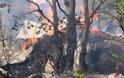 ΣΥΜΒΑΙΝΕΙ ΤΩΡΑ: Ανεξέλεγκτη η πυρκαγιά στην Μεγάλη Κερασιά Καλαμπάκας