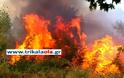 Καλαμπάκα τώρα: Απειλείται ξανά το Ορθοβούνι από την φωτιά - διεκόπη η κυκλοφορία οχημάτων στην Ε.Ο.