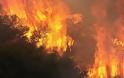 Ηλεία: Φωτιά σε δασική έκταση στις Πόρτες της Βάλμης, αυτή την ώρα