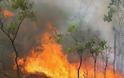 Πυρκαγιά στην περιοχή Ματσούκι Αιτωλοακαρνανίας