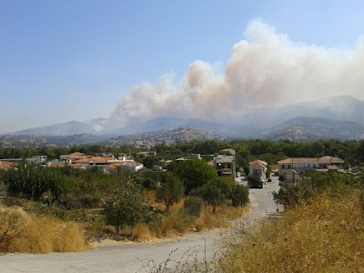 Οκτωνιά: Η φωτιά πλησιάζει το χωριό - Φωτογραφία 2