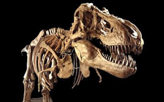 Νέο είδος δεινοσαύρου ανακαλύφθηκε στη Γαλλία - Φωτογραφία 1