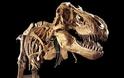 Νέο είδος δεινοσαύρου ανακαλύφθηκε στη Γαλλία