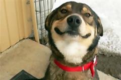 ΔΕΙΤΕ: Με το χαμόγελο στα χείλη