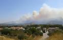 SOS: Η φωτιά στην Εύβοια πλησιάζει το χωριό της Οκτωνίας