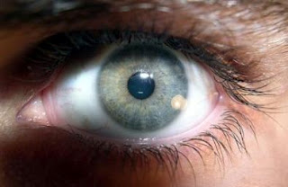 Γενετικό τεστ για την αστυνομία «προβλέπει το χρώμα των ματιών και των μαλλιών» - Φωτογραφία 1