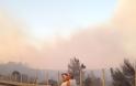 Δήμος Πεντέλης: Ακόμα μια πυρκαγιά, χιλιόμετρα μακριά, απείλησε πάλι το Πεντελικό - Φωτογραφία 3