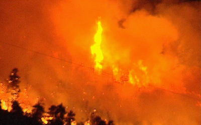 Στις φλόγες το πευκοδάσος της Αρκίτσας. Σώθηκαν τα σπίτια των οικισμών - Φωτογραφία 3