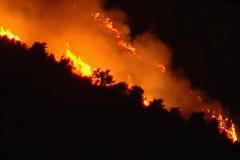 Στις φλόγες το πευκοδάσος της Αρκίτσας. Σώθηκαν τα σπίτια των οικισμών