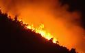 Στις φλόγες το πευκοδάσος της Αρκίτσας. Σώθηκαν τα σπίτια των οικισμών - Φωτογραφία 2