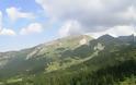 Λίγη όαση δροσιάς απ΄τα ορεινά βουνά του Ασπροπόταμου Τρικάλων - Φωτογραφία 1