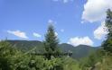 Λίγη όαση δροσιάς απ΄τα ορεινά βουνά του Ασπροπόταμου Τρικάλων - Φωτογραφία 3