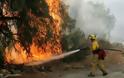 Στον εισαγγελέα ο 24χρονος που έβαζε τις φωτιές στην Χίο