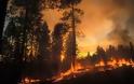 Αυξημένη επικινδυνότητα για Δασικές Πυρκαγιές