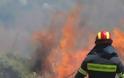 Υπό έλεγχο τέθηκε η φωτιά στην Τούμπα Θεσσαλονίκης