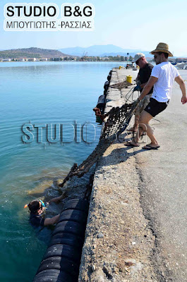 Ομάδα εθελοντών δυτών καθάρισε το λιμάνι του Ναύπλιου και την παράλια της Καραθώνας - Φωτογραφία 4