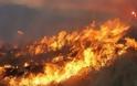 ΣΥΜΒΑΙΝΕΙ ΤΩΡΑ: Φωτιά στη Θεσσαλονίκη