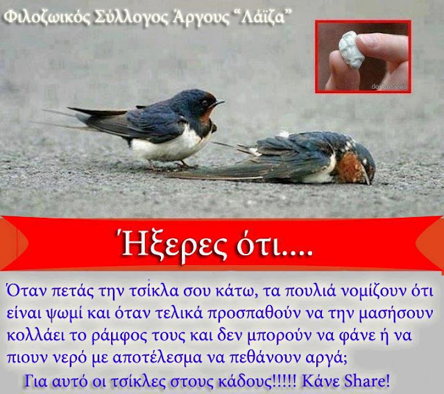 Μετά από αυτό θα ξαναπετάξεις τσίκλα στον δρόμο; - Φωτογραφία 2