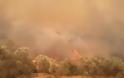 Υπό μερικό έλεγχο η φωτιά στην Ασπροβάλτα