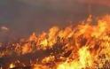 Αλεξανδρούπολη: Πέντε στρέμματα κάηκαν από πυρκαγιά