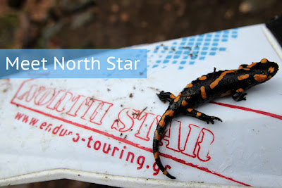 North Star Enduro Touring: Θα μας βρείτε στο Serres Rally Raid! - Φωτογραφία 3