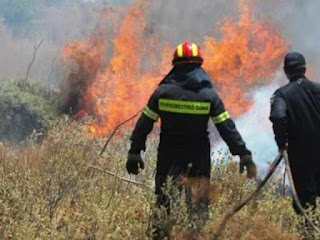 Πυρκαγιά στην περιοχή Σορώνη Ρόδου - Φωτογραφία 1