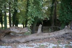 Eγκατέλειψαν σπουδαίο οικολογικό πάρκο στο Καλοχώρι Ιωαννίνων!