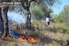 Φωτιά στην περιοχή Δενδρά Ναυπλίου