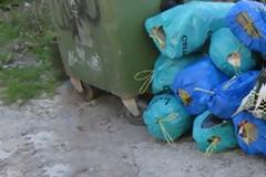 ΔΕΙΤΕ: Θησαυροί... πεταμένοι στα σκουπίδια