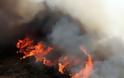 ΕΚΤΑΚΤΟ: Φωτιά στο Νέο Βουτζά