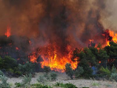 Σε εξέλιξη πυρκαγιά στον Ομαλό Χανίων - Φωτογραφία 1