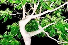 ΔΕΙΤΕ: Οι εικόνες πίσω απ' τις εικόνες