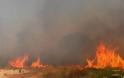 Πυρκαγιά μεταξύ Φουρνέ και Θερίσσου στα Χανιά