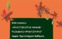 «Κοινωνικό Φροντιστήριο» Ιεράς Αρχιεπισκοπής Αθηνών - Φωτογραφία 2