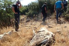 Ένα πολλαπλό έγκλημα στις Πλαταιές - Αγρόκτημα κολαστήριο!!!