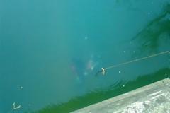 Μηχανάκι στον Σπερχειό ποταμό. Αφού ανασύρθηκε από Πυροσβέστες και Αστυνομία διαπιστώθηκε ότι ήταν κλεμμένo