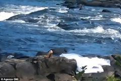 Συγκλονιστικό: Οι τελευταίες φωτογραφίες της Ελληνίδας νύφης που πνίγηκε από το νυφικό της