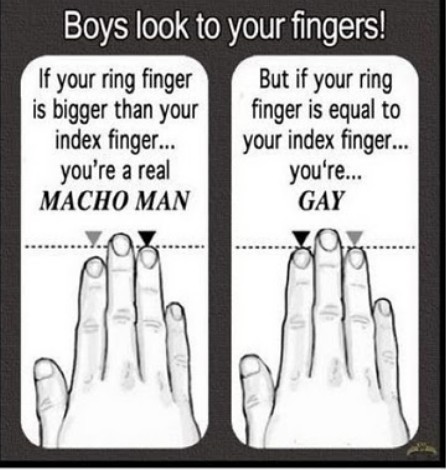 ΔΕΙΤΕ: Τα δάχτυλα προδίδουν αν κάποιος είναι ομοφυλόφιλος; - Φωτογραφία 2