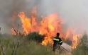Πάτρα: Φωτιά στα Συχαινά -  Επί τόπου σπεύδουν πυροσβεστικές δυνάμεις