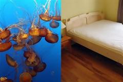 Ασυνήθιστες αιτίες θανάτου!