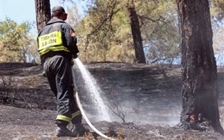 Καταδίκη 58χρονου για πυρκαγιά στην Ιεράπετρα - Φωτογραφία 1