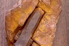 Σφυρί μέσα σε βράχο 75 εκατομμυρίων ετών.