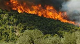 Ισπανία: Ηλικιωμένος κάηκε ζωντανός στην πύρινη λαίλαπα - Φωτογραφία 1