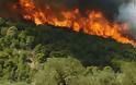Ισπανία: Ηλικιωμένος κάηκε ζωντανός στην πύρινη λαίλαπα