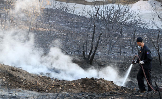 Σε ύφεση η φωτιά στο δάσος του Σέιχ Σου - Φωτογραφία 1