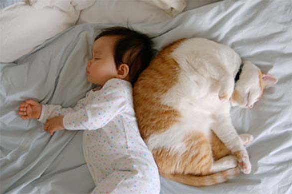 Γάτες και μωρά: 25 απίθανες φωτογραφίες! - Φωτογραφία 12